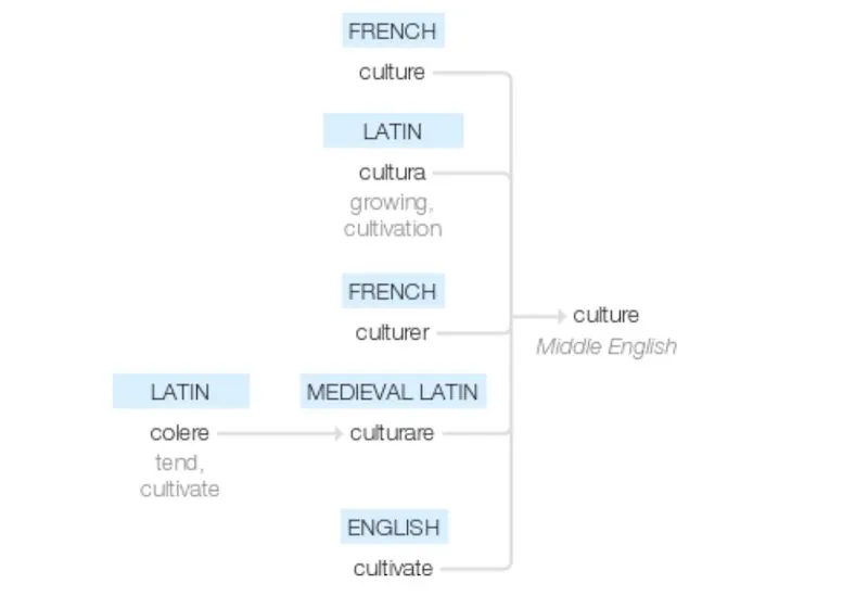 Culture-Etymology