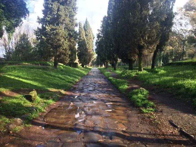 Path leading through a wooded area with tall trees